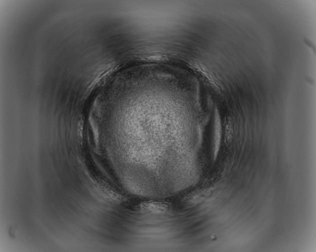 X0000091310739200708241113