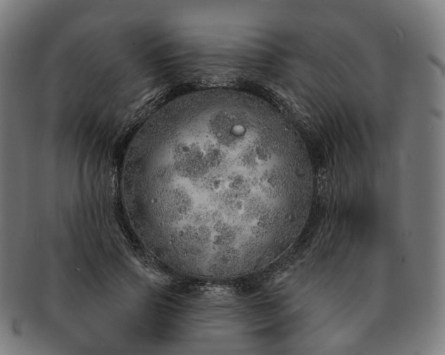 X0000091310741200708241113