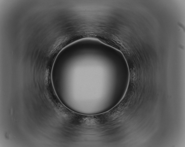 X0000091310742200708241113