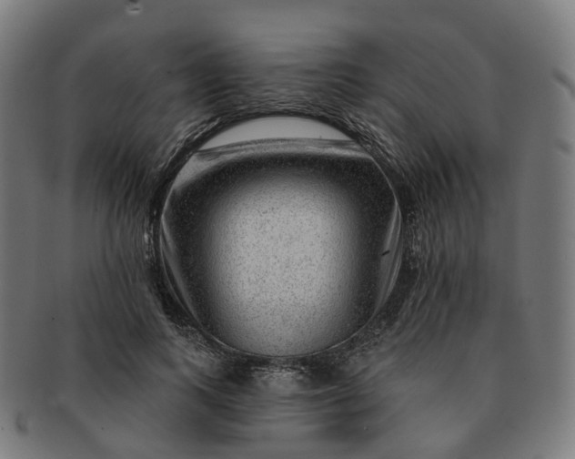 X0000091310743200708241113