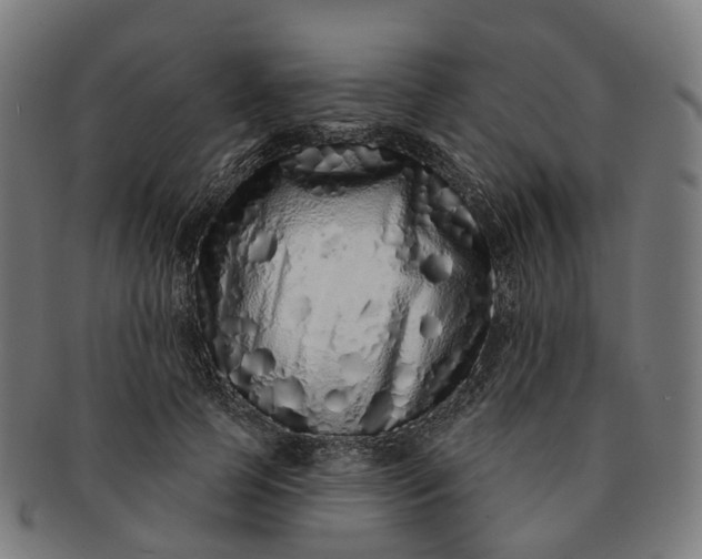 X0000091310745200708241113