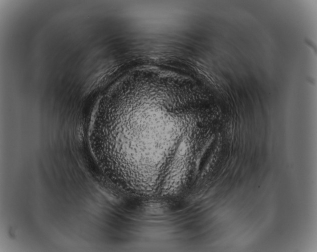 X0000091310746200708241113