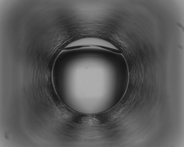 X0000091310747200708241113