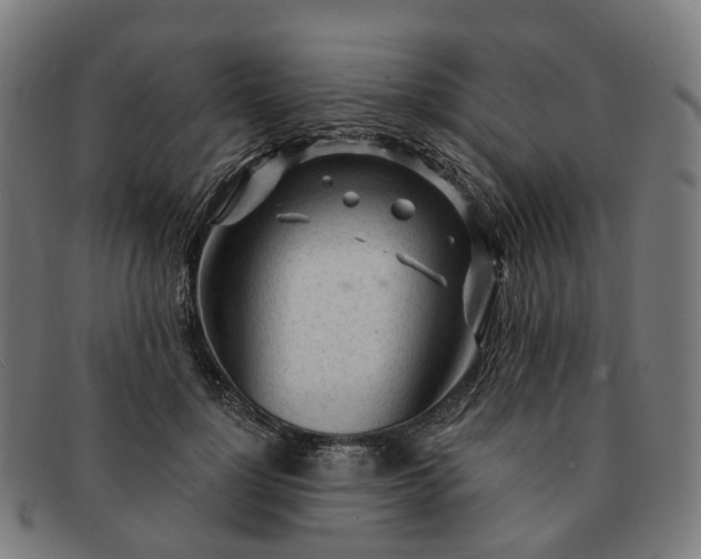 X0000091310748200708241113