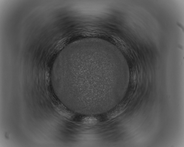 X0000091310749200708241113