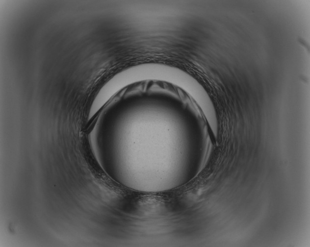 X0000091310750200708241113