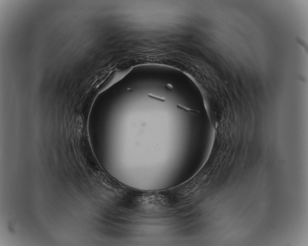 X0000091310752200708241113