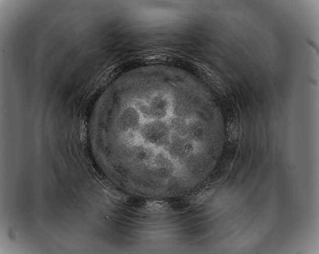 X0000091310753200708241113