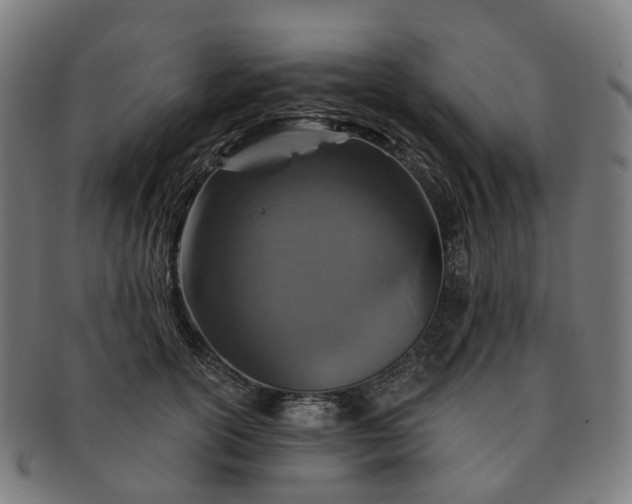 X0000091310754200708241113