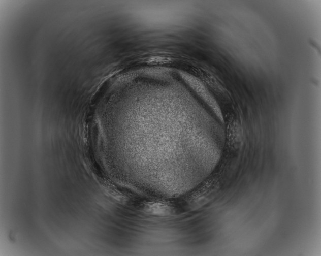 X0000091310755200708241113