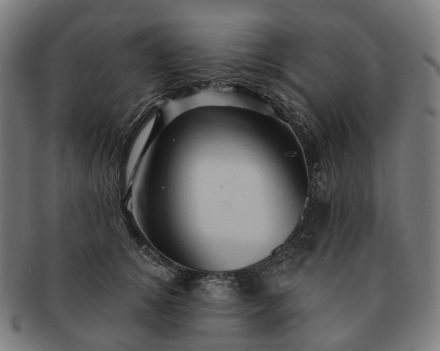 X0000091310756200708241113