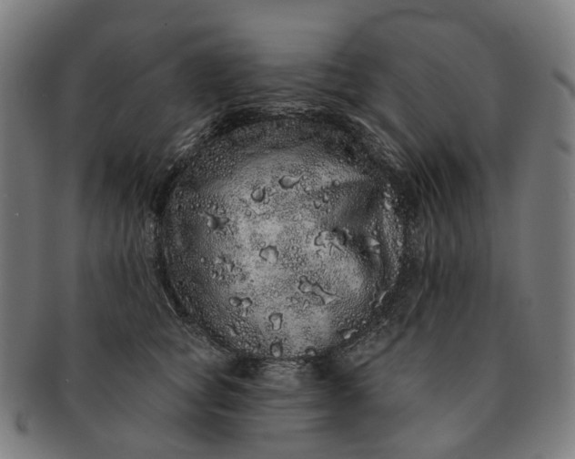 X0000091310757200708241113