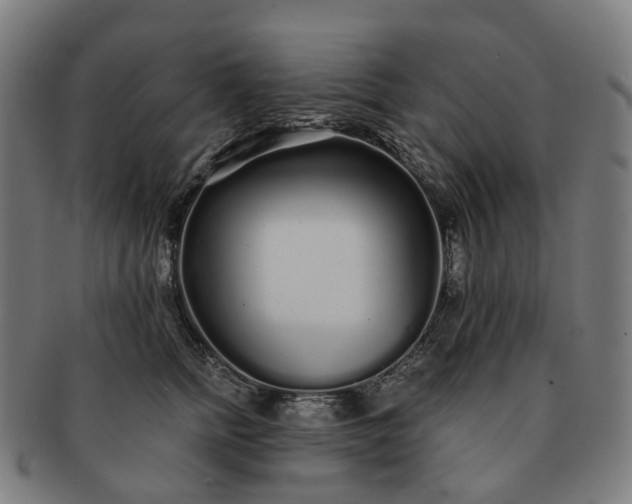 X0000091310758200708241113