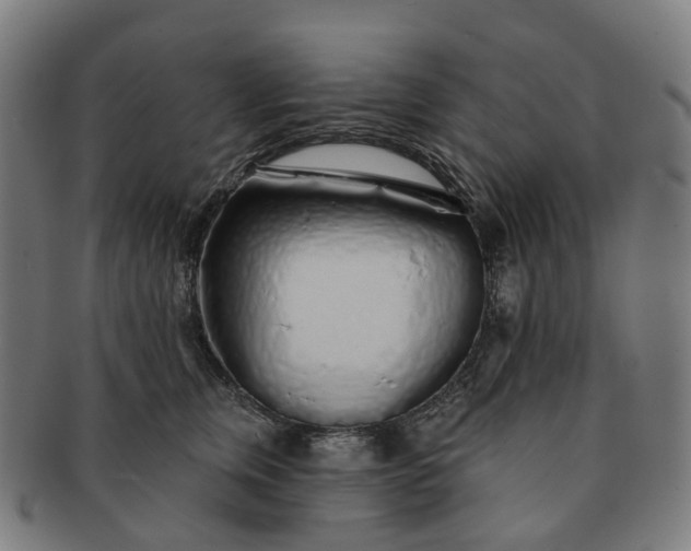 X0000091310759200708241113