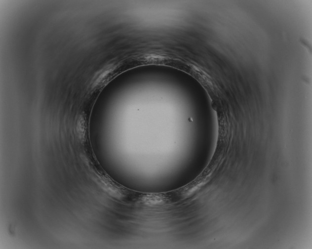 X0000091310762200708241113