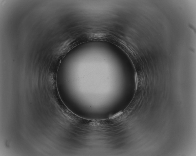 X0000091310764200708241113