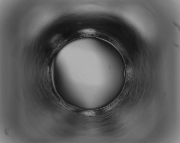 X0000091310765200708241113