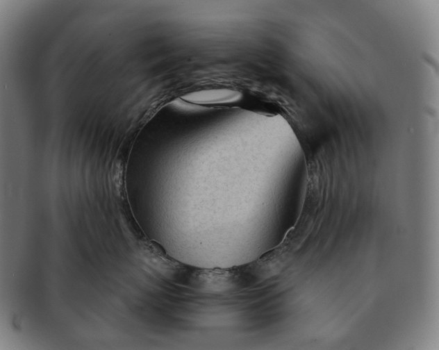 X0000091310767200708241113