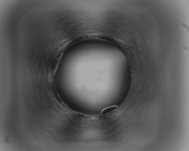 X0000091310768200708241113