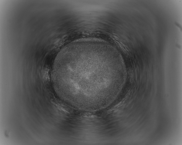 X0000091310770200708241113