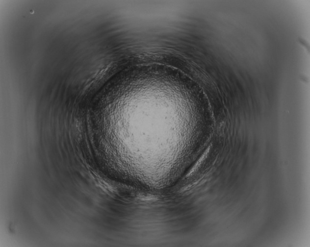 X0000091310772200708241113