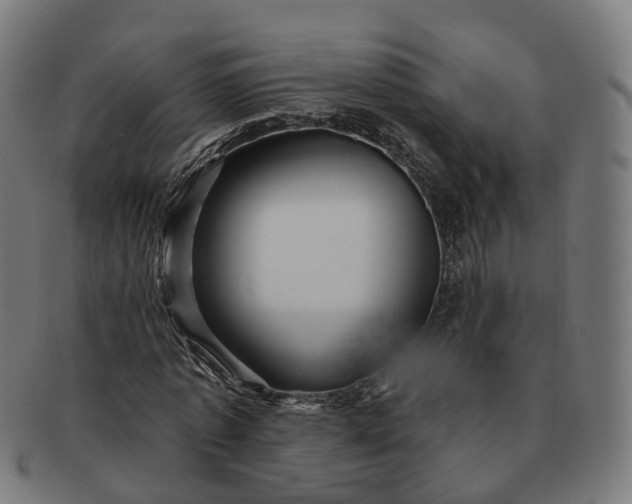 X0000091310773200708241113