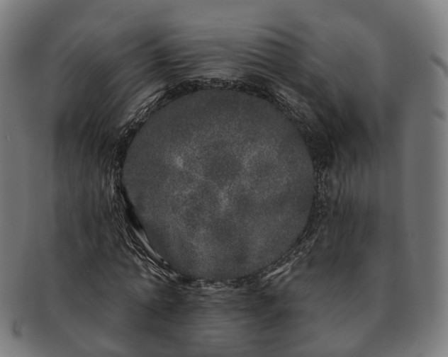 X0000091310774200708241113