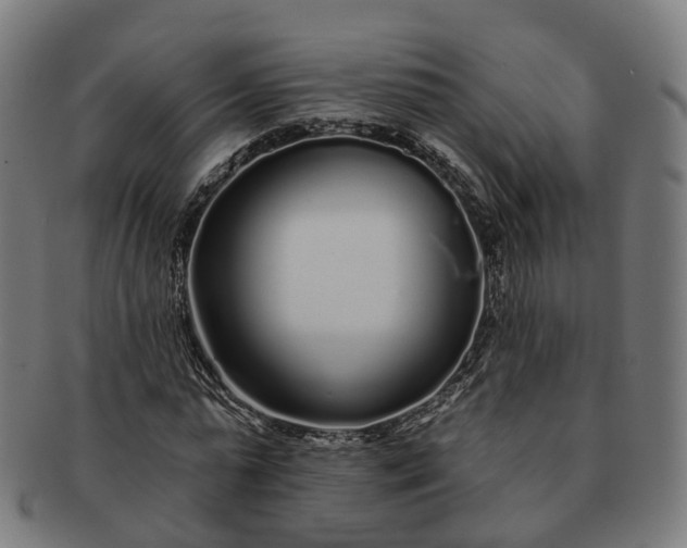 X0000091310775200708241113