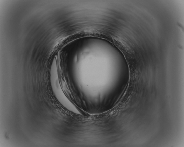 X0000091310776200708241113