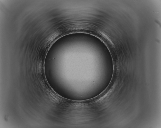 X0000091310777200708241113