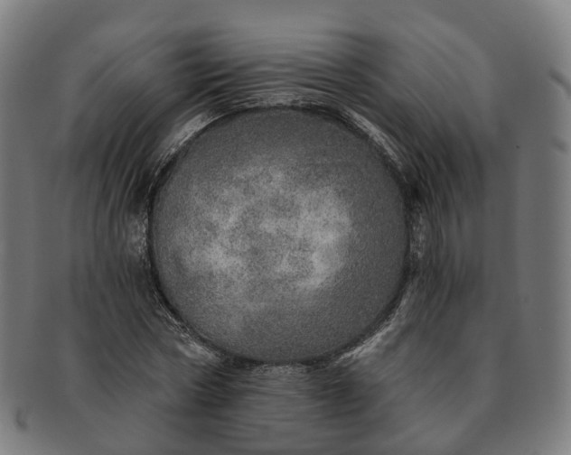 X0000091310778200708241113