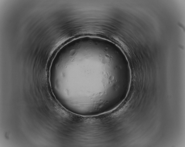 X0000091310779200708241113