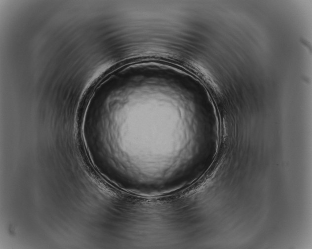 X0000091310780200708241113