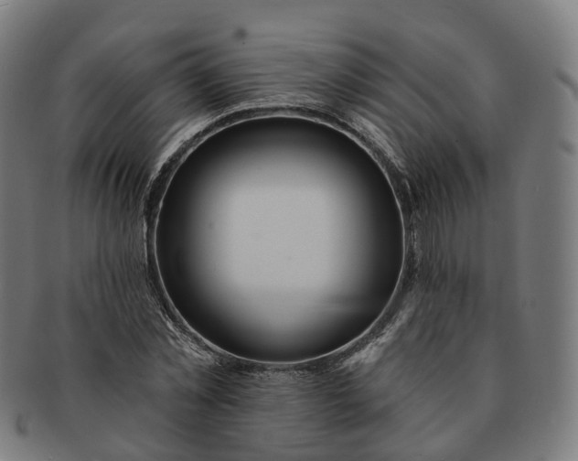 X0000091310781200708241113