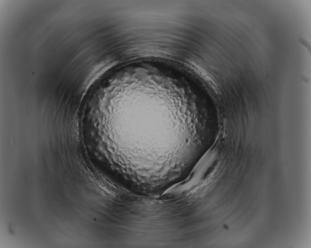 X0000091310782200708241113