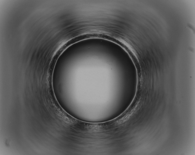 X0000091310783200708241113