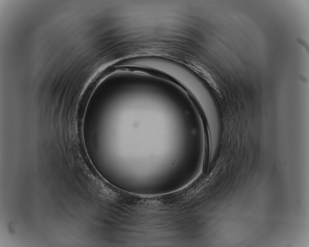 X0000091310784200708241113