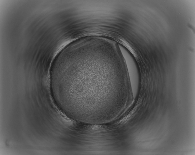 X0000091310787200708241112