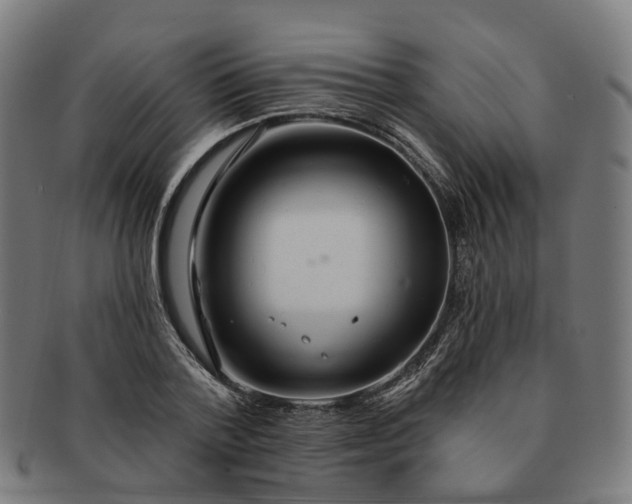 X0000091310788200708241112