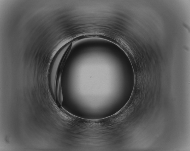 X0000091310789200708241112