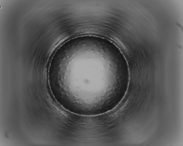 X0000091310790200708241112