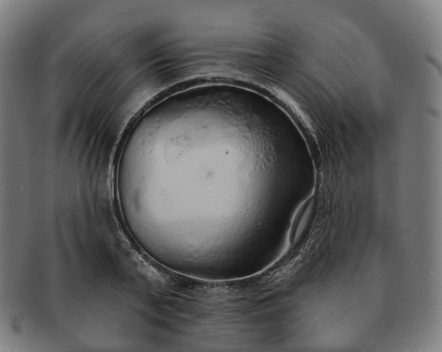 X0000091310791200708241112