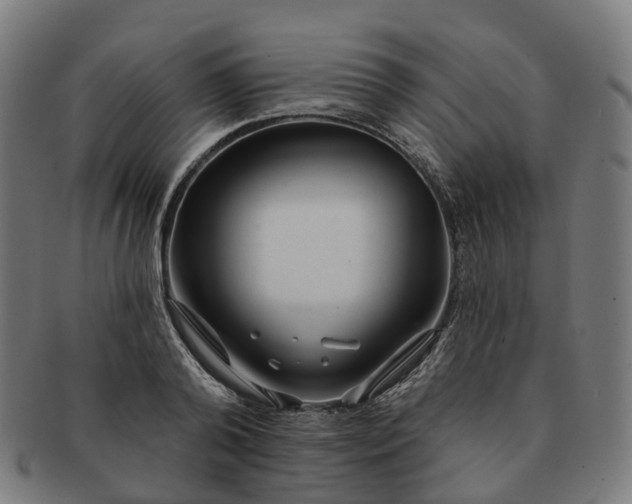 X0000091310792200708241112