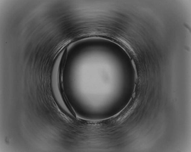 X0000091310793200708241112