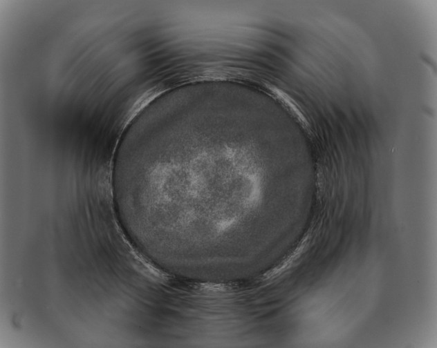 X0000091310794200708241112