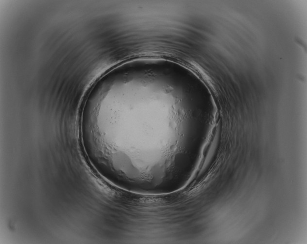 X0000091310795200708241112