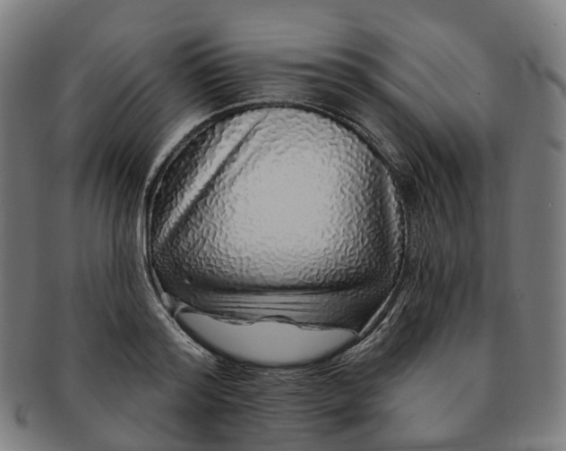 X0000091310796200708241112