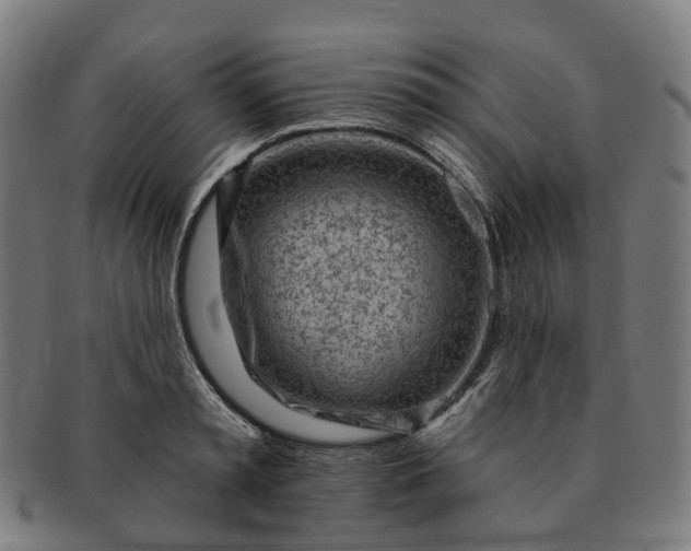 X0000091310797200708241112