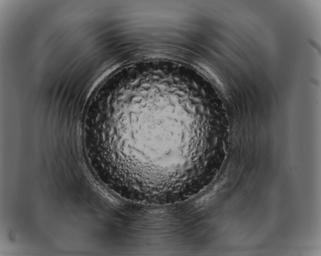 X0000091310798200708241112