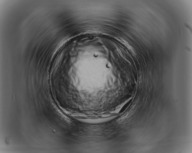 X0000091310799200708241112